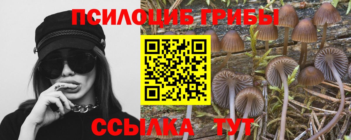 Серпухов  Псилоцибиновые грибы MAGIC MUSHROOMS  Вход с VPN 